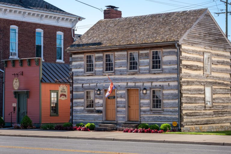 Silver Fox at The Log House