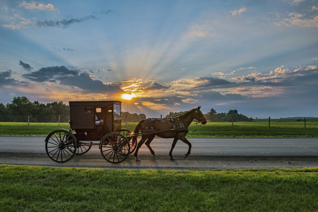 Amish Buggy and Sunbeams at Daybreak