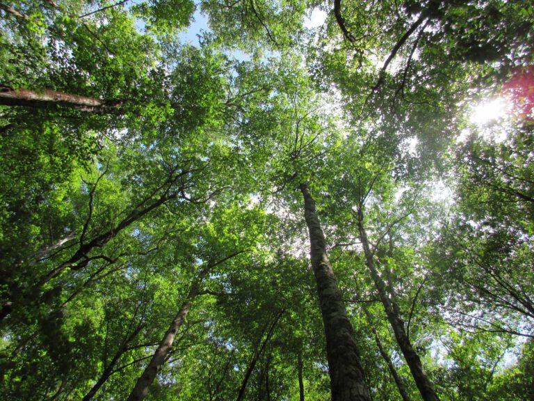 Earlham College Nature Reserve Network