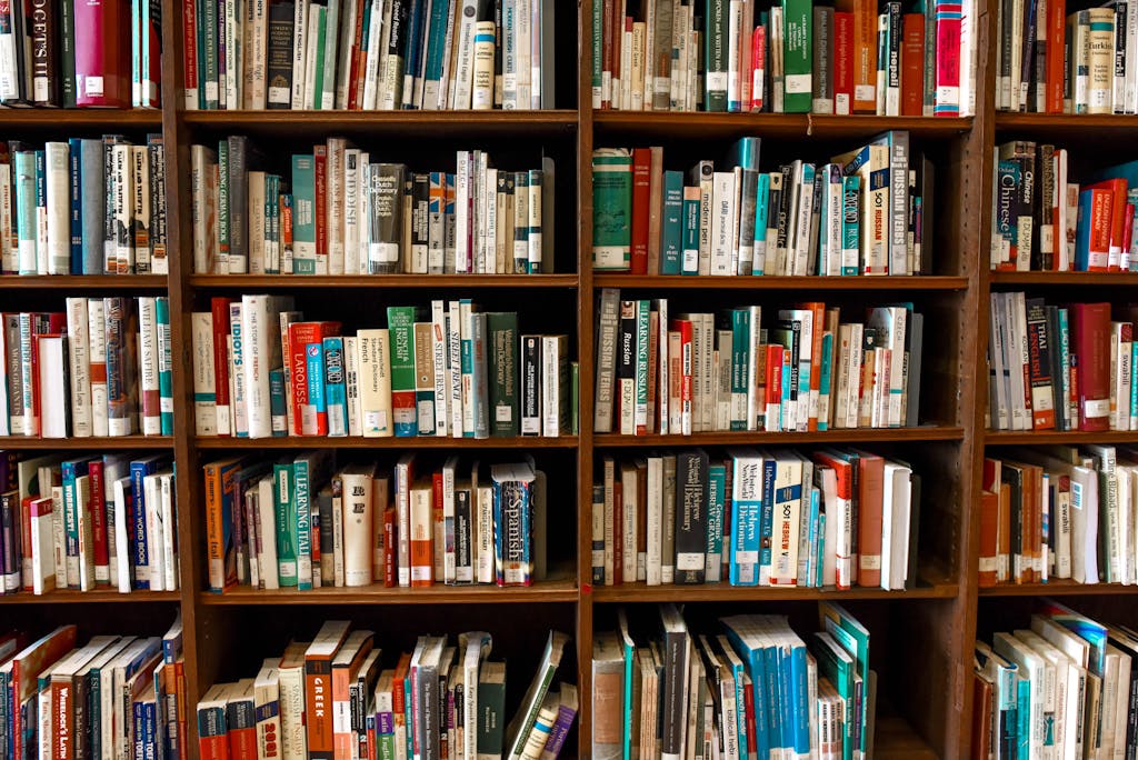 Vibrant library scene featuring wooden bookshelves filled with various books.