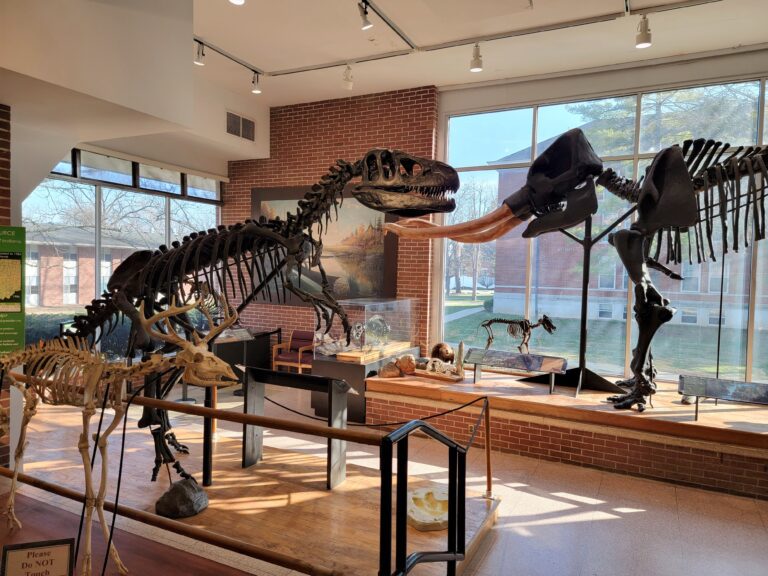 Start kidding around! Wayne County’s full of fun family stuff to do this summer