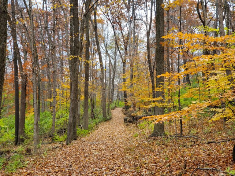 Fall in love with Richmond and Wayne County this autumn