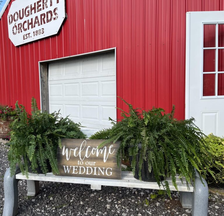 Wonderful Wayne County wedding venues