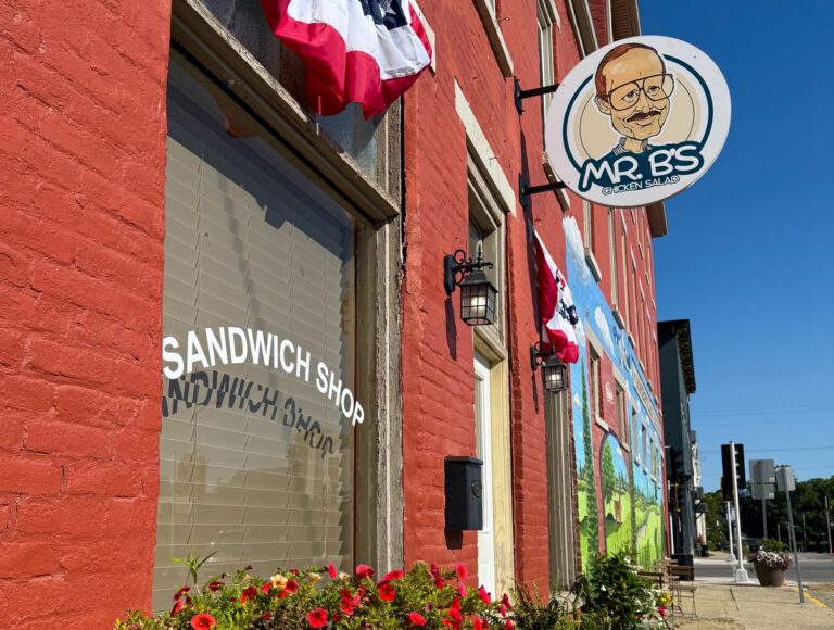 Mr B’s Chicken Salad 