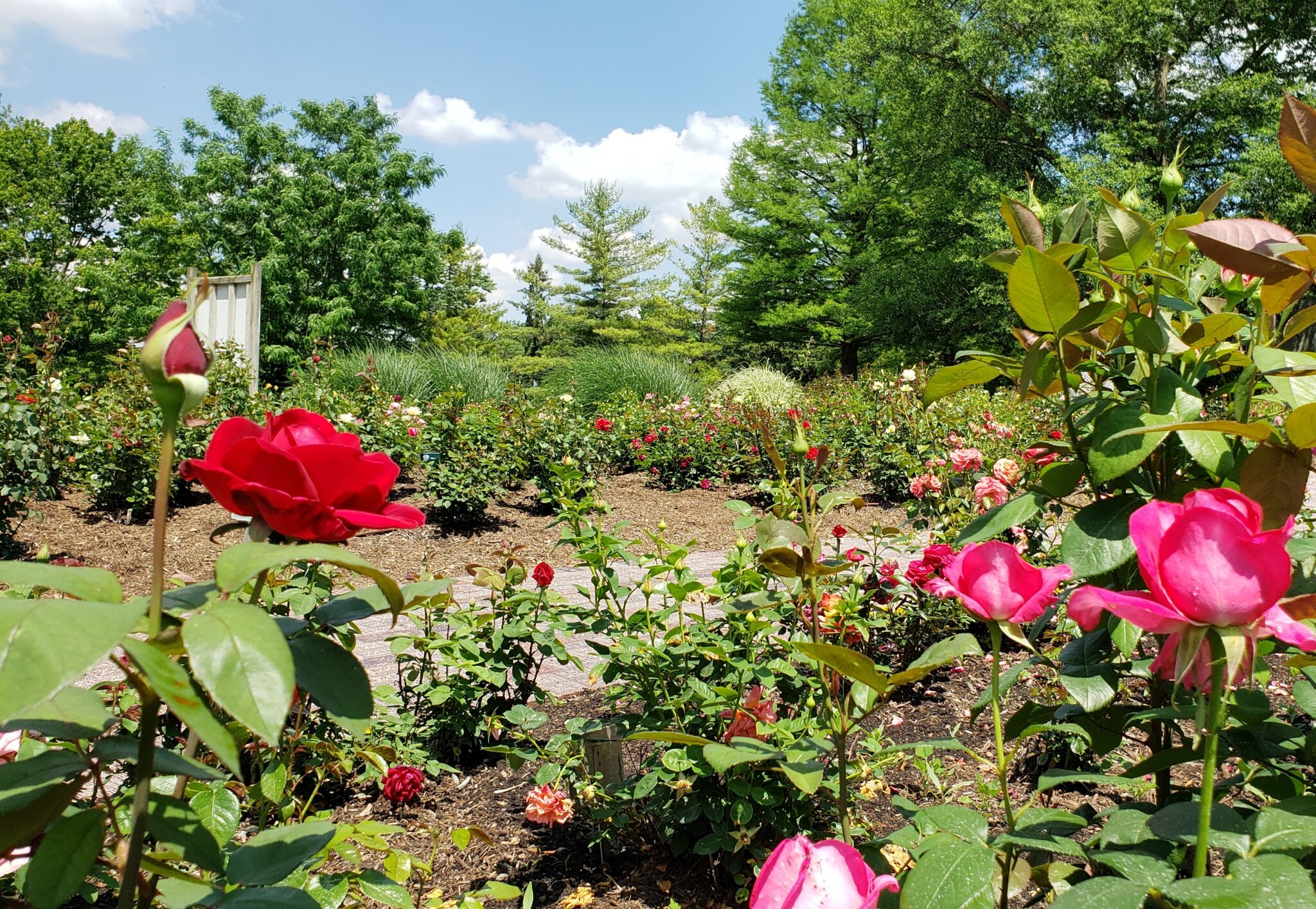 Calendar of Festivals and Events in Richmond and Wayne County, IN